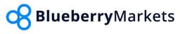 Blueberry Markets
